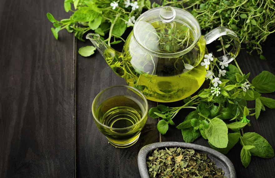 Green Tea for Receding gums